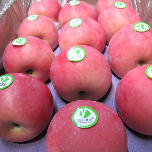 红富士陕西特产农产品洛川苹果新鲜水果12枚75mm包邮一件代发