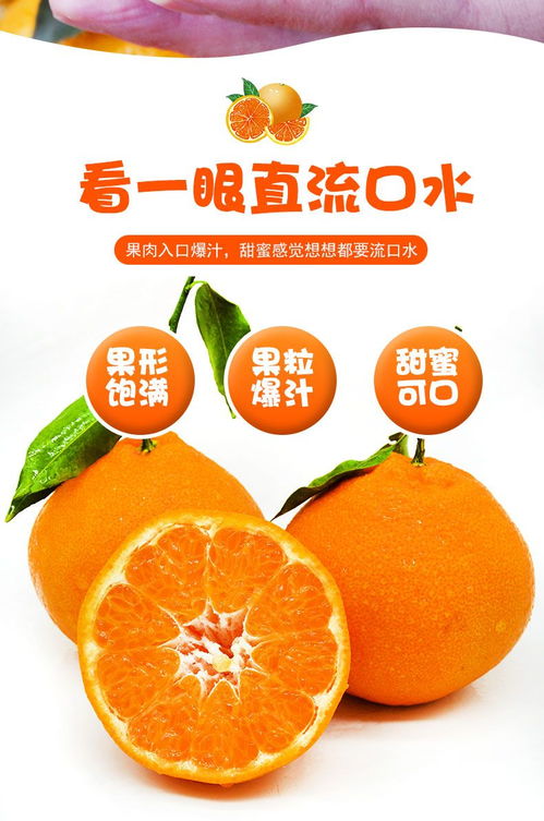 四川特产新鲜优质春见耙耙柑包邮柑橘子新鲜水果大果整箱当季丑橘丑柑