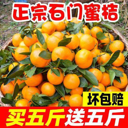 湖南特产橘子新鲜水果批发价10斤薄皮爆甜多汁图片大全 邮乐官方网站
